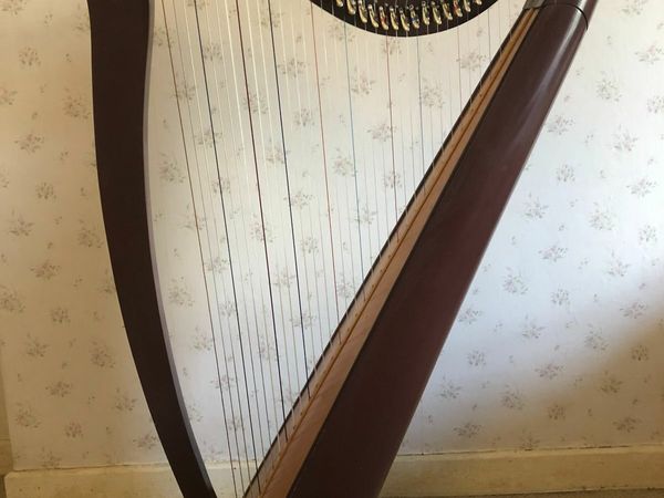34 String Roth & Junius Harp