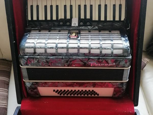 Parrot piano accordion