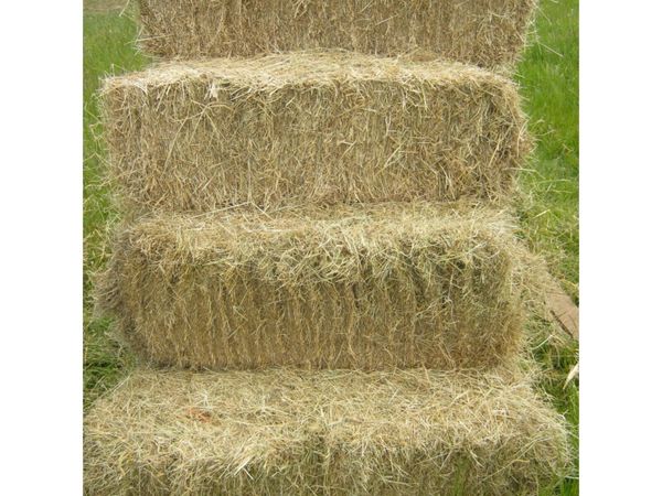 Square Bales of hay €4 and round bales €35
