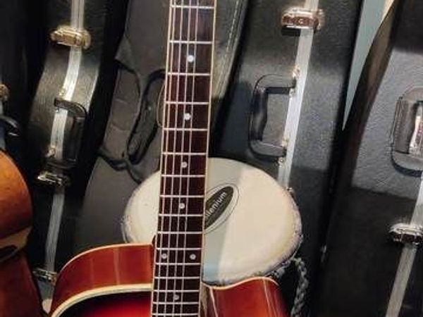 Beautiful vintage Boorinwood FAW-955SEQ - semi-acoustic guitar