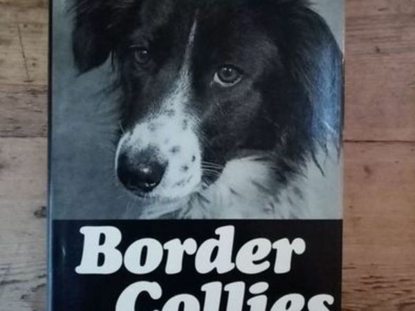 Border Collies Book (Signed Copy) - Iris Combe