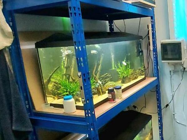 Aquarium rack