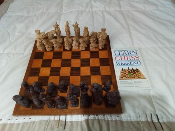 Adult chess game