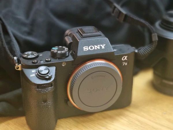 Sony A7ii & 55mm Zeiss Lens