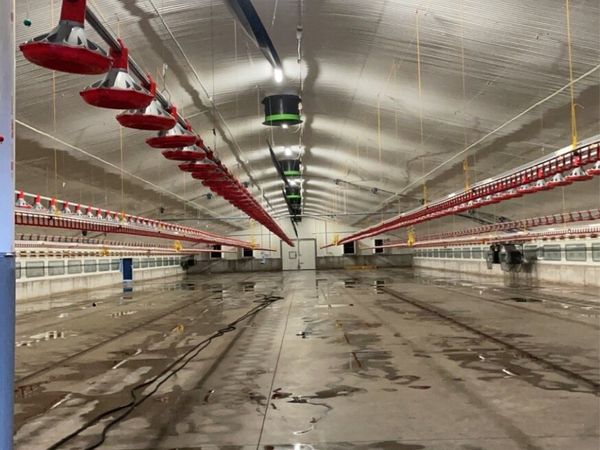 POWERWASHING POULTRY HOUSES