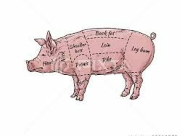 Free Range Pork and bacon