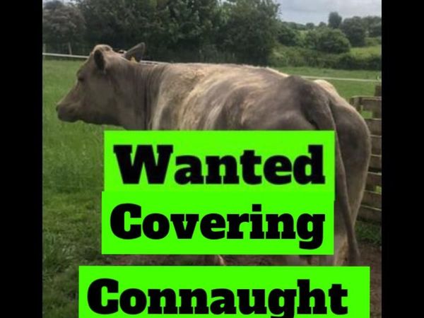 WANTED Covering Connaught area