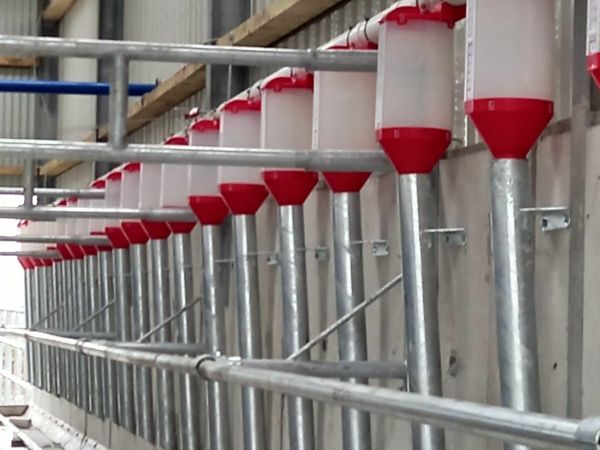 Augers & Batch Feeding systems , Meal silos