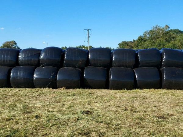 Top Quality Round Bales