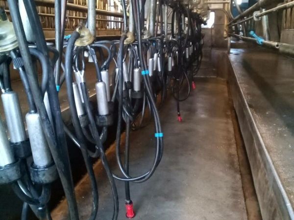 16 unit Delaval milking machine