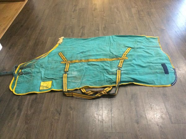 Professionally cleaned - WeatherBeeta Turnout  rug