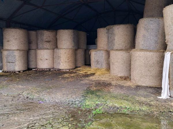 Round bales hay/silage