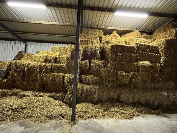 Square bales of Oat straw
