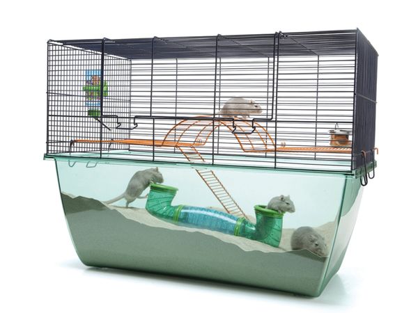 Savic hamster heaven 80 2024 cage