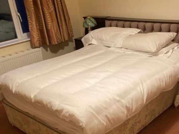 Double Bed with mattress