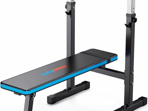 WINNOW Adjustable Weight Bench with Dip Station Folding Heavy Duty Weight Lifting Bench Home Training Gym Multiuse Workout Bench