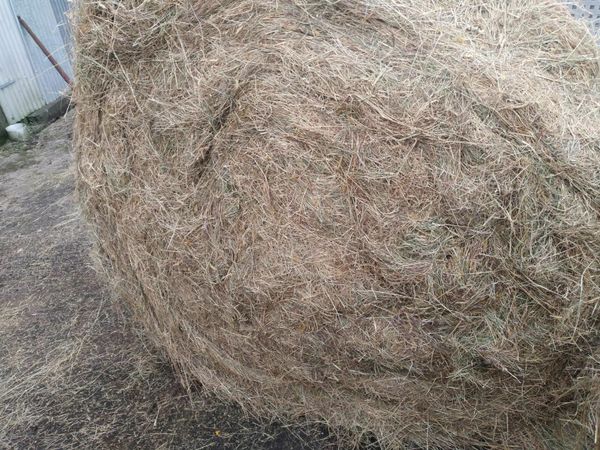 Round bales of good quality hay. Coachford/Macroom area