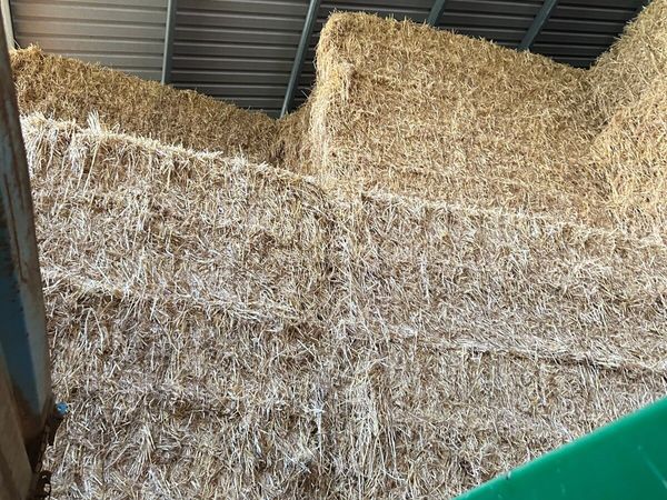 Barley and wheaten straw for sale
