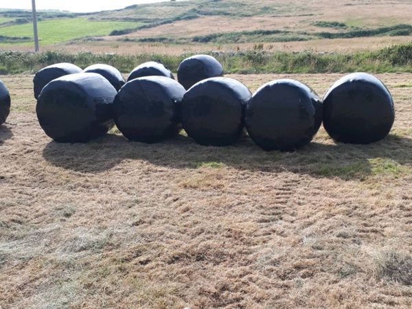 Silage and haylage bales for sale.