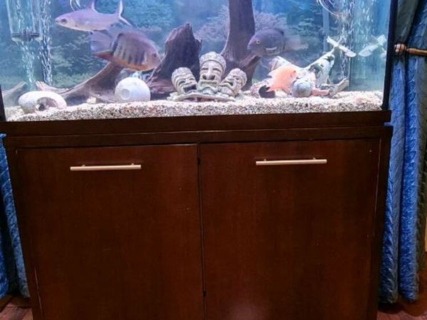 200 Litre Aqua One Fish Tank for Sale