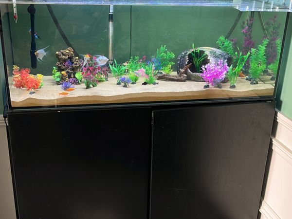 300ltr fish tank