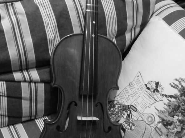 Stentor SR1550 Conservatoire  Violin 4/4