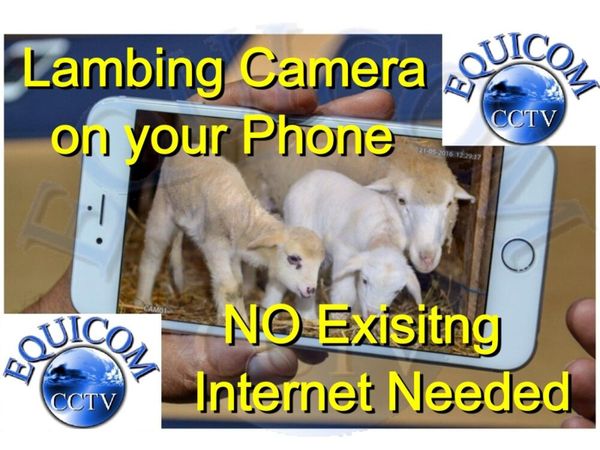 Lambing Camera - Sheep Camera