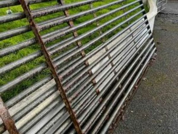 9ft Cattle grid