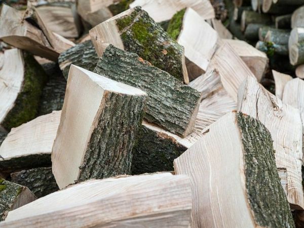 Firewood split logs for sale