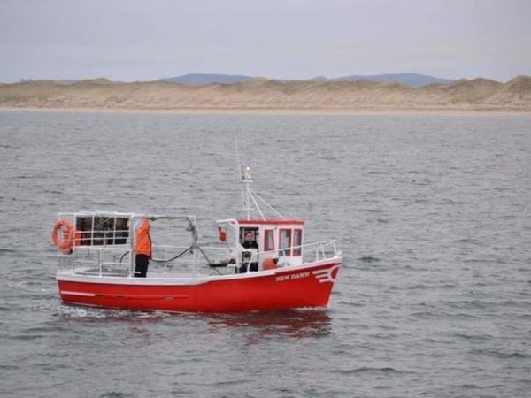 27ft Malahide grp fishing boat with license
