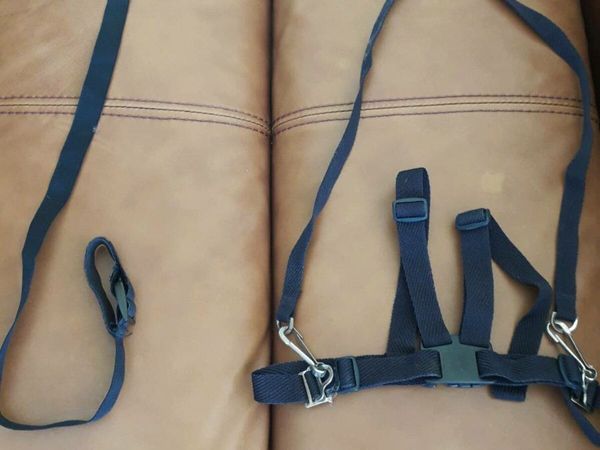 Childs safety harness