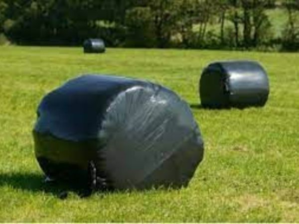 Silage Bales