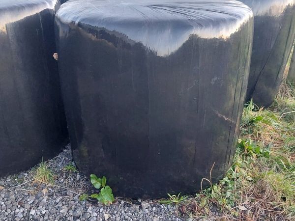 20 Bales of Silage for sale