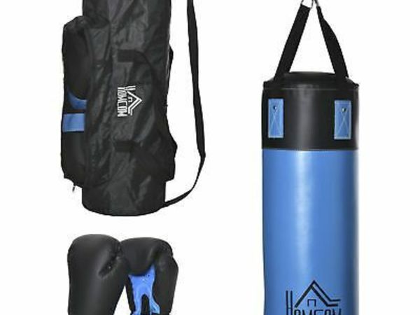 Heavy Boxing Bag Hanging Punch Bag w/ Gloves, Carry Bag & Ceiling Hook