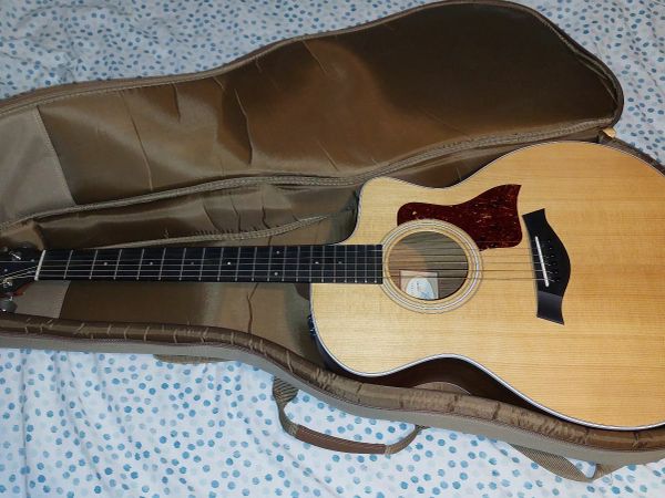 Taylor 214ce Electro-Acoustic Guitar and case