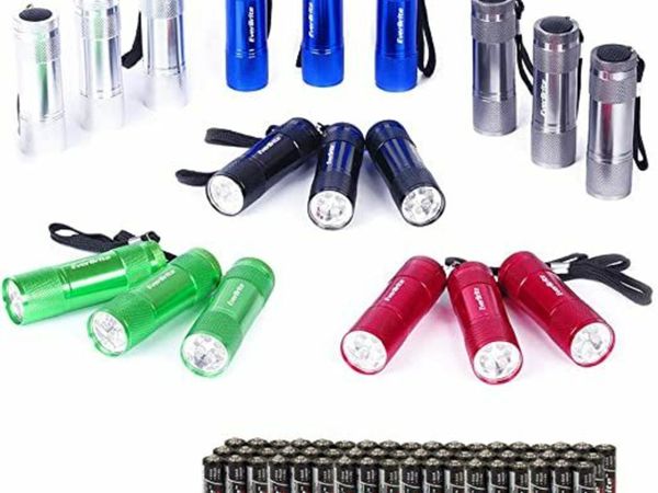 EVERBRITE 18-Pack LED Mini Pocket Torch, Small Keyring Torches Flashlight, Ideal for Kids Camping Hiking Traveling Cycling Outdoors Party, Batteries Included