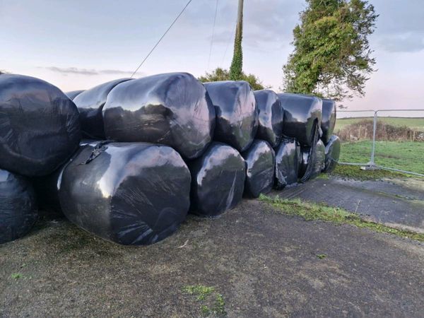 50 Top quality silage bales