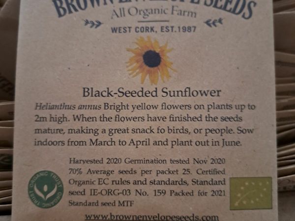 Organic sunflower seeds