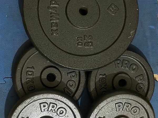 1 inch weight plates-100kg