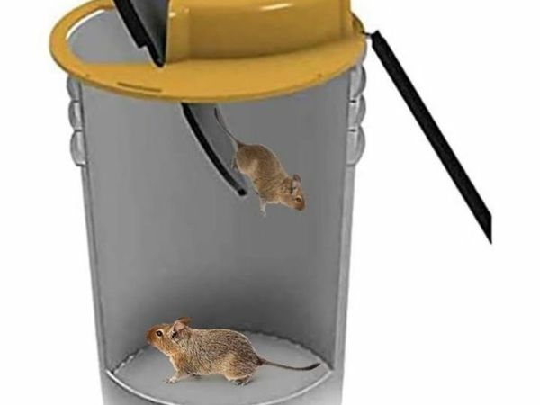 Mouse traps