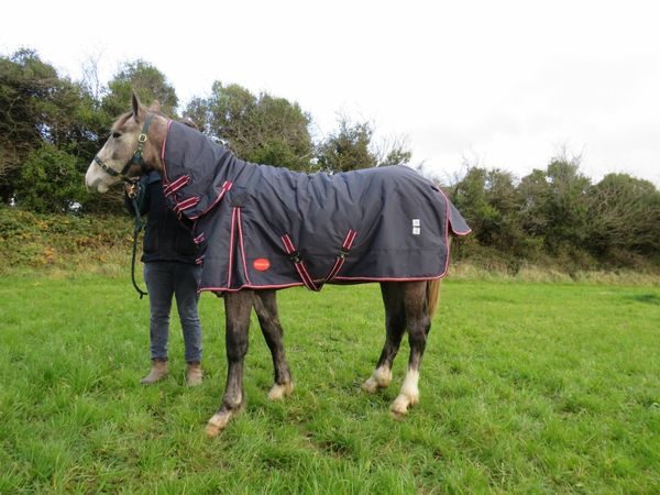 Full-neck Turnout Rugs
