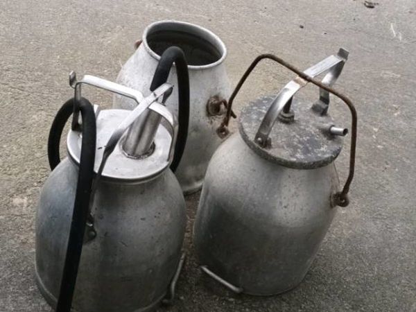 Stainless Steel Dump buckets