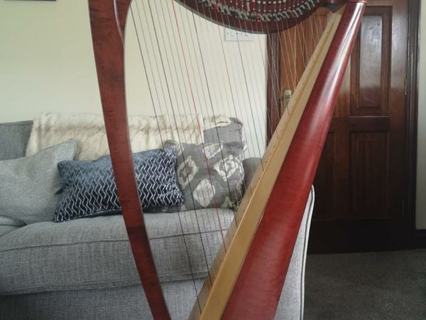 Salvi Livia Harp