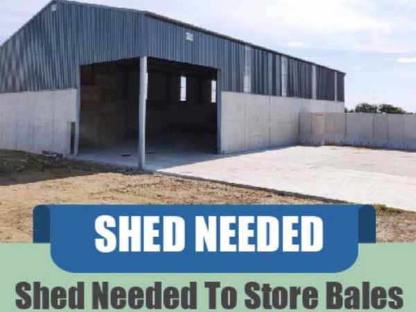 Shed Space Needed