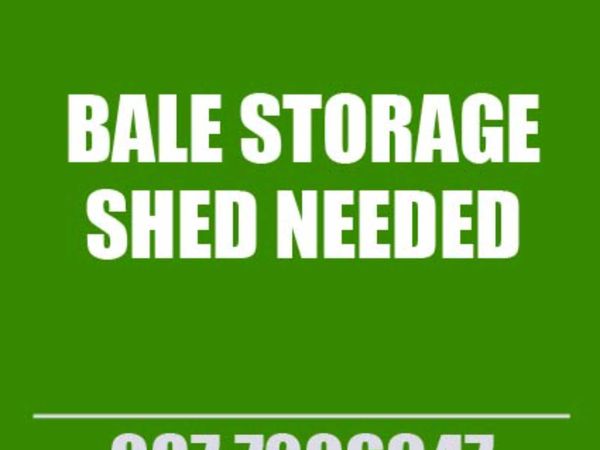 Shed Wanted