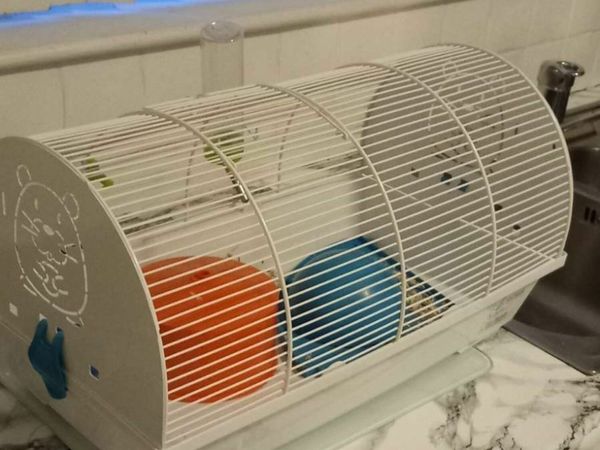 Hamster cage & bedding
