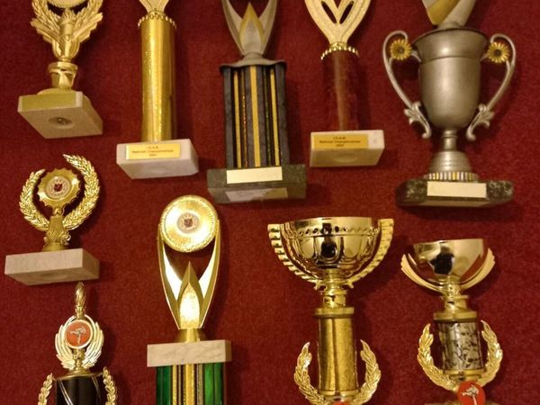 Karate Trophies & Medals.