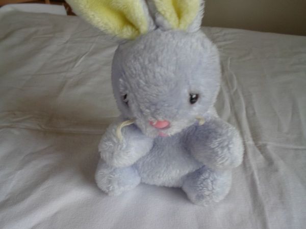 Cuddly Bunny Rabbit for Sale