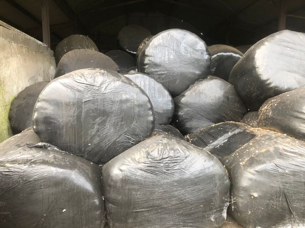 Wrapped silage