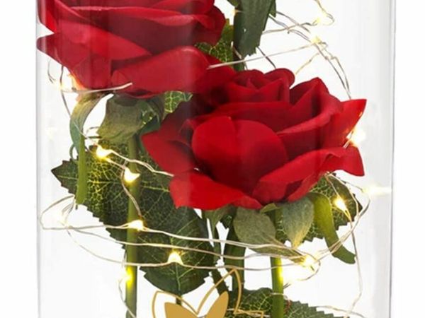 Enchanted rose, Rose Romantic Gift for Her